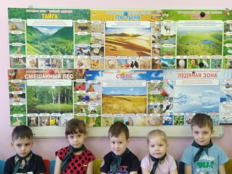 Звездочки